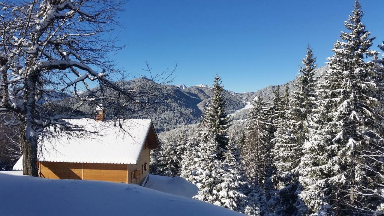 Willa Agriturismo Gacceman Ugovizza Zewnętrze zdjęcie